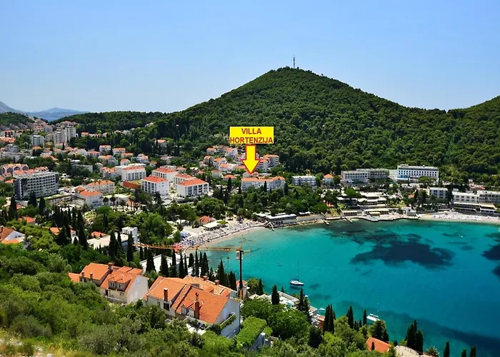 Hortenzia - One-bedroom With Terrace-1 - A Lejlighed