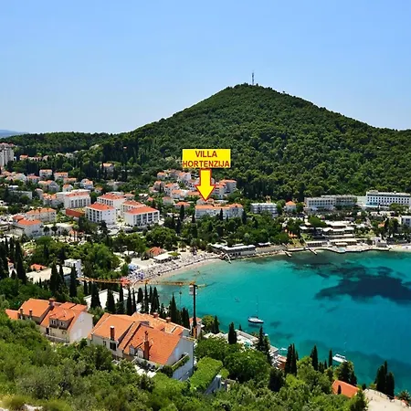 Hortenzia - One-bedroom With Terrace-1 - A Apartman